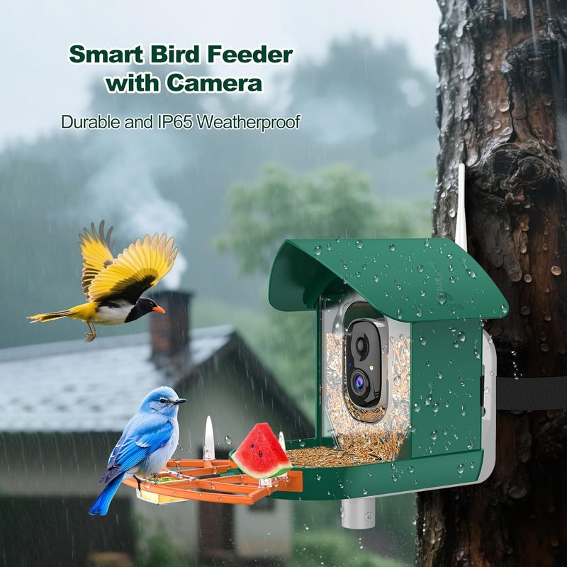 Gyozol Bird Feeder with Camera,WiFi Smart Bird House with Cam Solar Powered for Outdoor,AI Identify,App Notification,Night Vision,2K Live View,Auto Record Video,Birdwatching Gifts for Family,Birds Lover - Image 5